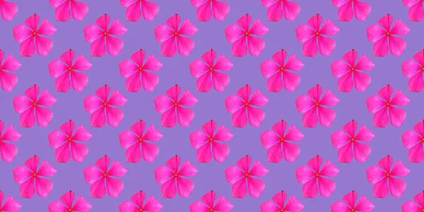 Beautiful Background Flowers Seamless Pattern Pink Flower — Stock Photo, Image