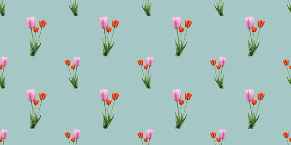 Beautiful Seamless Pattern Tulip Flowers — Stock Photo, Image