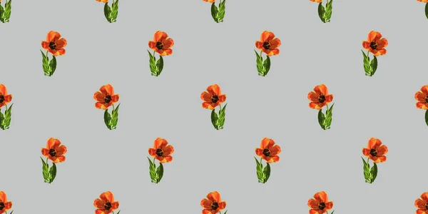 Schöne Nahtlose Muster Mit Tulpenblumen — Stockfoto