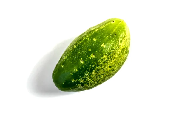 Stock Foto Closeup Cucumber Isolated White Background — Stock Photo, Image