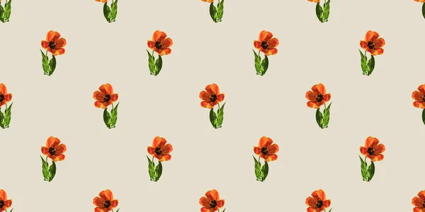 Beautiful Seamless Pattern Tulip Flowers — Stock Photo, Image