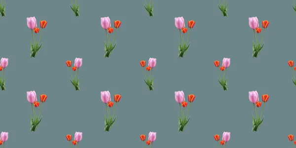 Padrão Sem Costura Bonita Com Flores Tulipa — Fotografia de Stock