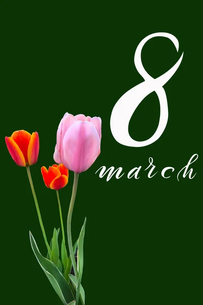 Międzynarodowy Dzień Kobiet Marca Flat Lay Sztandar Kartka Okolicznościowa Kwiatami — Zdjęcie stockowe