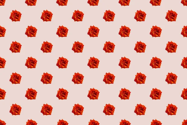 Piękny Bezszwowy Wzór Kwiatami Róż — Zdjęcie stockowe