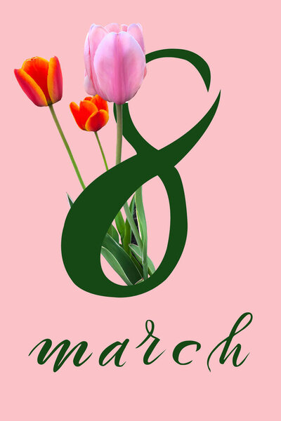 International Women's Day March 8! Flat Lay, banner, greeting card with flowers from March 8.