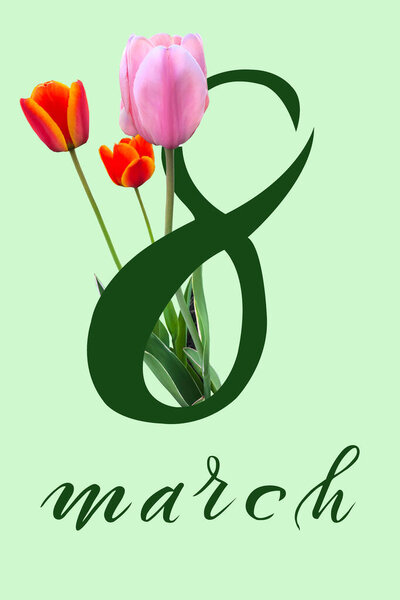 International Women's Day March 8! Flat Lay, banner, greeting card with flowers from March 8.