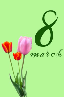 8 Mart Uluslararası Kadınlar Günü! Düz Yat, afiş, 8 Mart 'tan kalma çiçekli tebrik kartı.