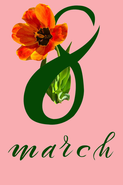 International Women's Day March 8! Flat Lay, banner, greeting card with flowers from March 8.