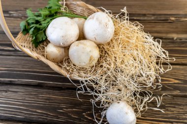 natürmort, mantar şampiyonlarının yemek fotoğrafı. Mantarlar bütün ve doğranmış, sepet dolusu mantarlar. Ahşap arka planda