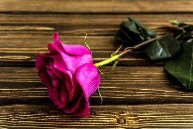 Çiçekler ahşap arka planda pembe güller