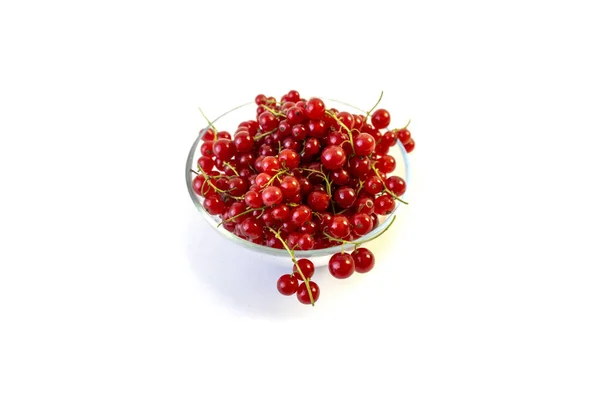 Terisolasi Pada White Background Red Currant Berries Dalam Sebuah Plat — Stok Foto