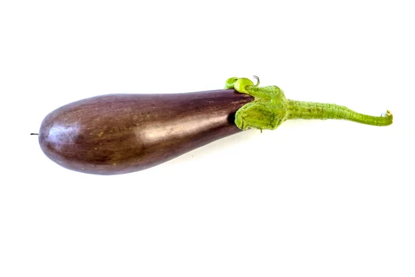 Elszigetelt Fehér Háttér Eggplant Mezőgazdaság Betakarítás — Stock Fotó