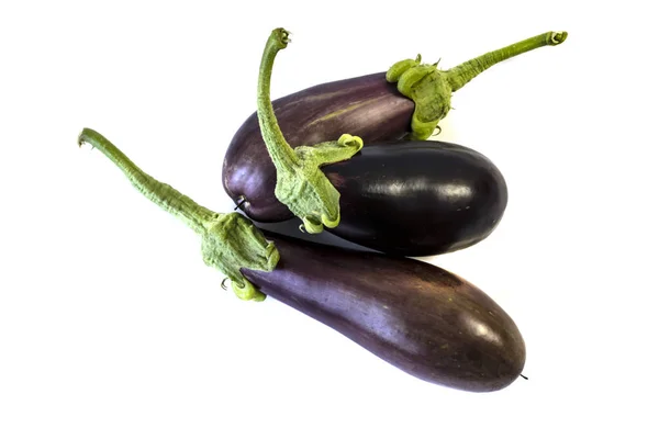 Elszigetelt Fehér Háttér Eggplant Mezőgazdaság Betakarítás — Stock Fotó