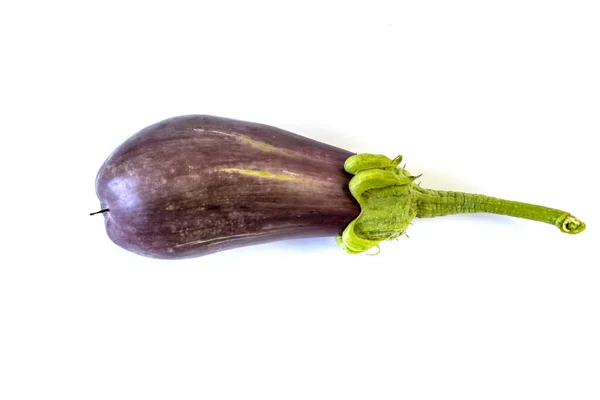 Elszigetelt Fehér Háttér Eggplant Mezőgazdaság Betakarítás — Stock Fotó