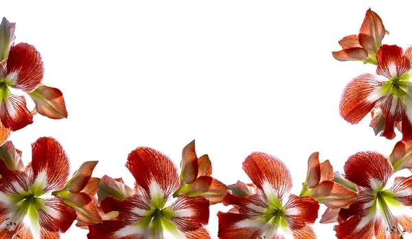 Düğün, doğum günü, parti ya da diğer kutlamalar için fotokopi odası olan daire.. 