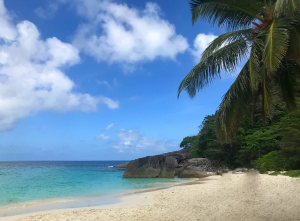 타이티 의아름다운 해변에 — 스톡 사진