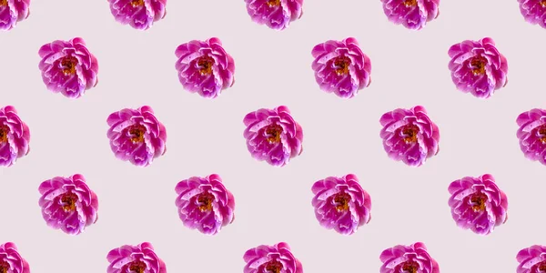 Seamless Pattern Flowers Pink Peonies — Stock Photo, Image