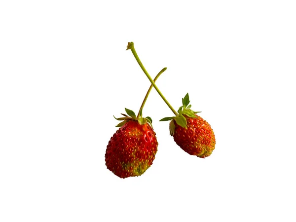 在白色草莓背景下分离 — 图库照片