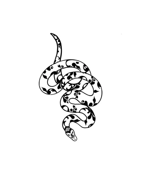 Hand Drawing Snake Can Used Tattoo — Stock Photo, Image