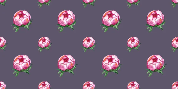 Zökkenőmentes Minta Akvarell Rajz Rózsaszín Bazsarózsa Virág — Stock Fotó