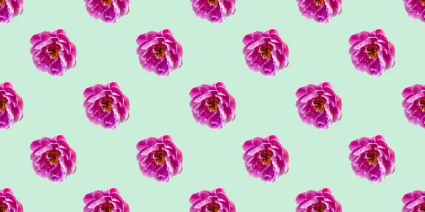 Seamless Pattern Flowers Pink Peonies — Stock Photo, Image