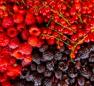 Ahududu, böğürtlen, kırmızı frenk üzümü.