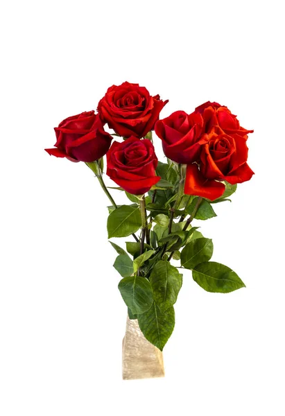 Изолированные Белом Фоне Красные Цветы Розы — стоковое фото