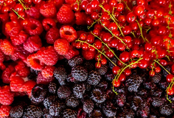 Raspberry Berry Blackberry Red Currant Plate — Stok Foto