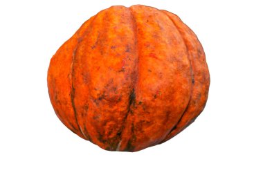 Kabak fotoğrafı, karantina, sonbaharda hasat, Cadılar Bayramı.