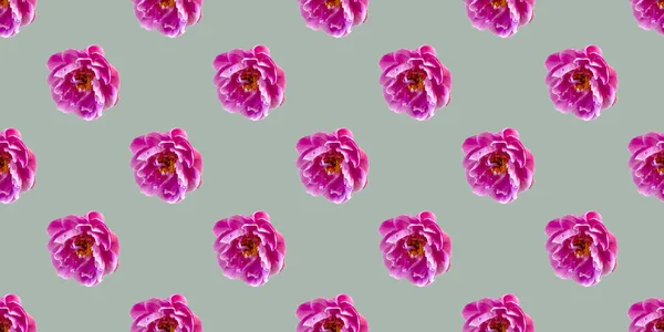 Seamless Pattern Flowers Pink Peonies — Stock Photo, Image