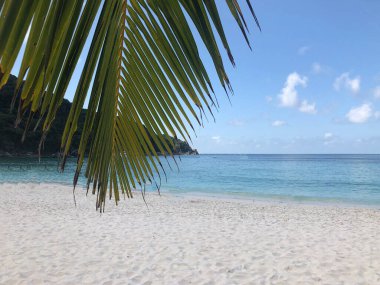 Tayland, Similan Adaları 'ndaki Güneydoğu Asya' nın güzel deniz ve plajı