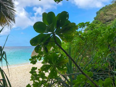 Tayland, Similan Adaları 'ndaki Güneydoğu Asya' nın güzel deniz ve plajı