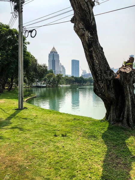 Міський Парк Озером Бангкоку — стокове фото