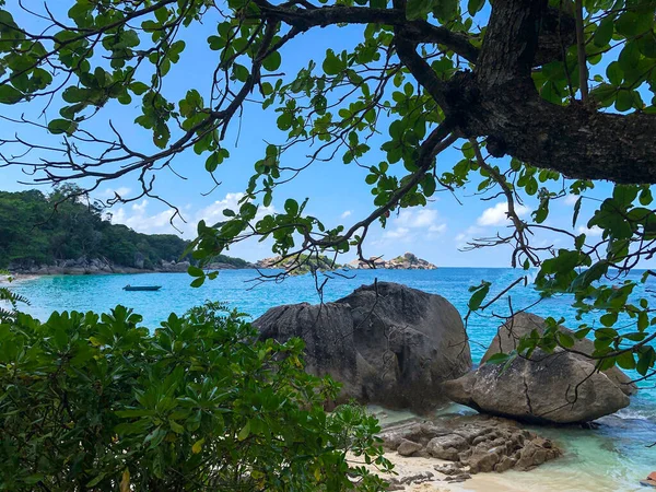 Tropical Forest Thailand Similan Islands — Stock Photo, Image