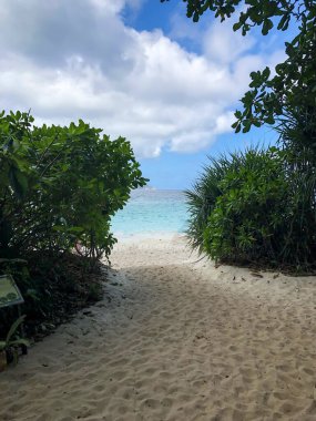 Tayland, Similan Adaları 'ndaki Güneydoğu Asya' nın güzel deniz ve plajı