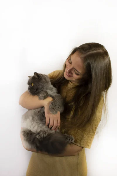 Fiatal Szép Val Egy Macska Látogatás Egy Állatorvos Szeretett Macska — Stock Fotó