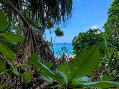 Tayland, Similan Adaları 'ndaki Güneydoğu Asya' nın güzel deniz ve plajı