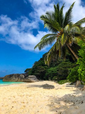 Tayland, Similan Adaları 'ndaki Güneydoğu Asya' nın güzel deniz ve plajı
