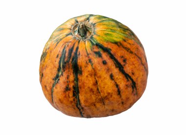 Beyaz arkaplanda izole edilmiş gerçekçi balkabağı, Cadılar Bayramı sembolü