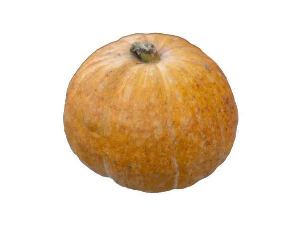 Zucca Realistica Isolata Sfondo Bianco Vicino Simbolo Halloween — Foto Stock