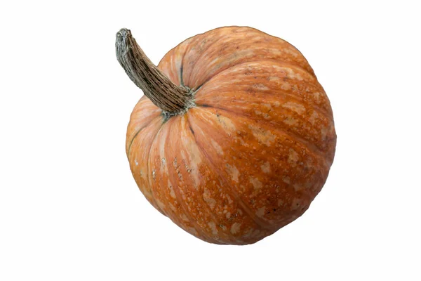 Realistisk Pumpa Isolerad Vit Bakgrund Närbild Halloween Symbol — Stockfoto