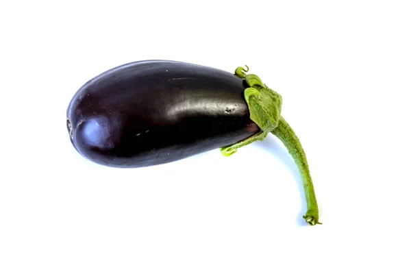 Elszigetelt Fehér Háttér Eggplant Mezőgazdaság Betakarítás — Stock Fotó