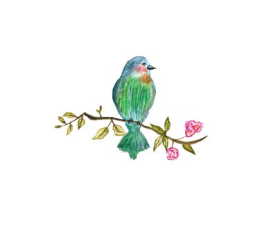 Beyaz zemin üzerinde izole edilmiş suluboya çizim kuşları