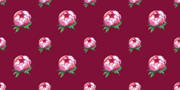 Pola Mulus Dengan Cat Air Menggambar Bunga Peoni Merah Muda — Stok Foto