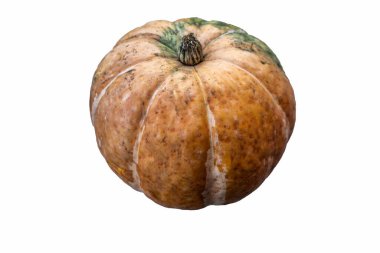 Beyaz arkaplanda izole edilmiş gerçekçi balkabağı, Cadılar Bayramı sembolü