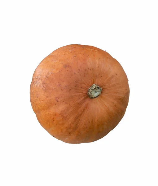 Zucca Realistica Isolata Sfondo Bianco Vicino Simbolo Halloween — Foto Stock