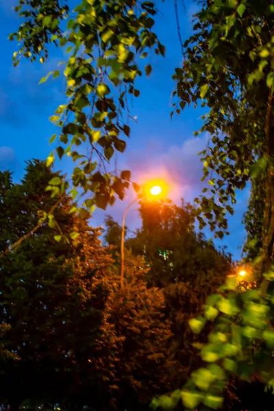 Foto Van Nachtstad Zonsondergang Stad Artistieke Verwerking — Stockfoto