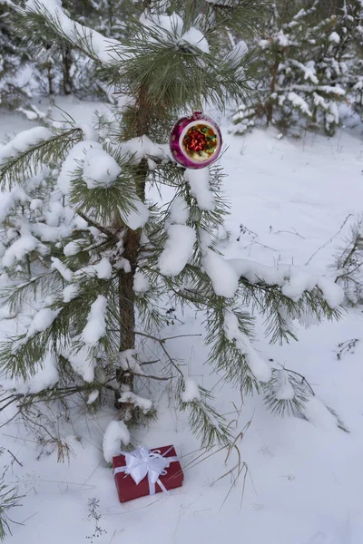 Kerstbal Winter Het Bos Aan Boom — Stockfoto