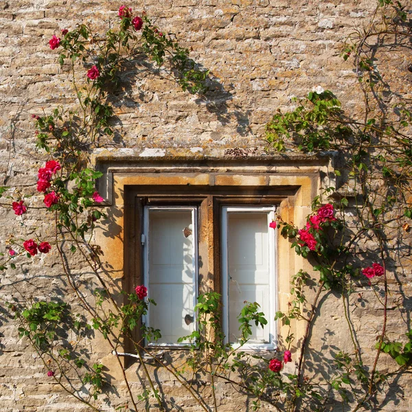 Janela cottage rosa-folheado — Fotografia de Stock