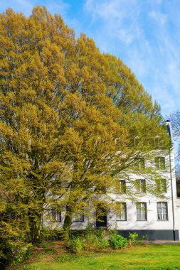 eski bina Maastricht, Hollanda